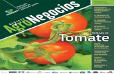 Revista Agronegocios_El Tomate
