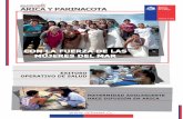 Boletín SERNAM - Arica y Parinacota / Enero 2013
