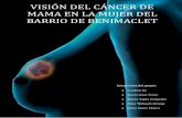 Visión del cáncer de mama en la mujer del barrio de Benimaclet
