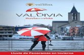 Paraguas de actividades "Valdivia, lluvia es vida"