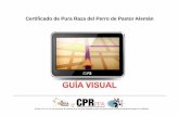 Guia Visual CPR