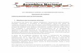 Proyecto de la Ley orgánica contra la discriminación racial. Venezuela
