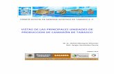 VISTAS DE LAS PRINCIPALES UNIDADES DE PRODUCCION DE CAMARÓN DE TABASCO