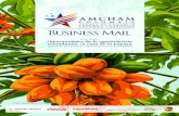 Business Mail Junio 2013