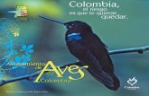Avistamiento de aves, Colombia