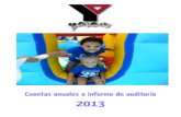 YMCA España. Cuentas Anuales 2013
