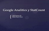 Google analitics y statcount