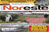 Periódico Noreste de Guanajuato #666