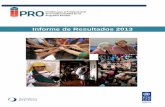 Informe de Resultados IPRO 2013
