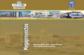 Megaproyectos: estudio de perfiles ocupacionales en el Cesar