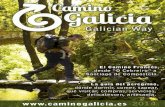 Camino galicia 2014