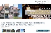2014 Procesos patológicos más habituales en mar del plata Arq. Emilio Polo