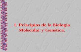 1 Principios de la Biologia Molecular y Genética