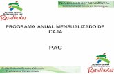 PAC PROGRAMA ANUAL MENSUALIZADO DE CAJA