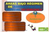 AREAS BAJO REGIMEN DE ADMINISTRACION ESPECIAL DE VENEZUELA