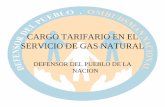 Defensor del Pueblo de la Nación -Cargo tarifario de gas informe 2008