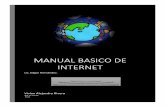 Manual basico de internet