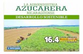 Suplemento La Agroindustria Azucarera Nicaragüense