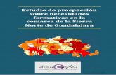 “Estudio de prospección sobre necesidades formativas en la comarca de la Sierra Norte de Guadalajara