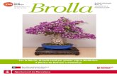 Brolla 23 (2011)