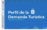Perfil de la Demanda Turística Provincia de Arauco