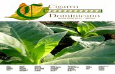 Cigarro Dominicano 61@ Edición, Publicación Propiedad de PIGAT SRL, ®Derechos Reservados ®™ 2014