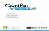Boletín 6 Caribe Visible
