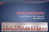 Sepsis neonatal priss