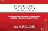 Ernesto "Borrego" Gándara Informe Anual de Actividades