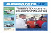 Article de "Azucarero del Sur" autour du PIDIH