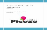 Picozu editor