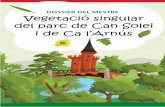 Vegetació singular del parc de Can Solei i de Ca l'Arnús (professorat)