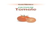 Cultivo del tomate