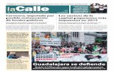 La Calle (11 noviembre 2014)