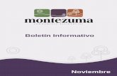 Boletin montezuma