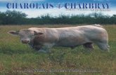 Revista Charolais Charbray mayo 2013