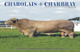 Revista Charolais Charbray Septiembre 2013