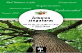 Cuaderno 1 enArbolar: árboles singulares de la España atlántica y pirenaica