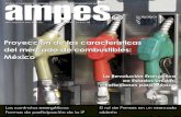 Revista AMPES Edición Mayo-Junio 2014