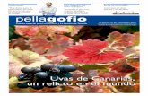 Pellagofio nº25 (2ª) noviembre 2014