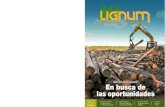 Revista LIGNUM 152