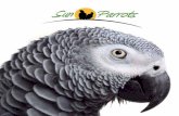 Catálogo Sun Parrots 2015