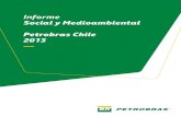 Informe Social y Medioambiental Petrobras Chile 2013