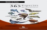 Dossier de prensa (la guía rápida 365 especies del atlántico)