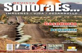 Revista SonoraEs... 130- Enero de 2015
