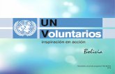 Newsletter anual del programa VNU Bolivia 2014