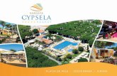 Cypsela brochure 2015