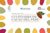Cultivares de Cacao del Perú por Luis Fernándo García Carrión