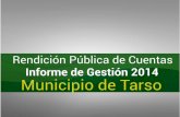 Informe de gestion 2014 Municipio de Tarso