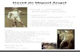 Análisis David Miguel Ángel